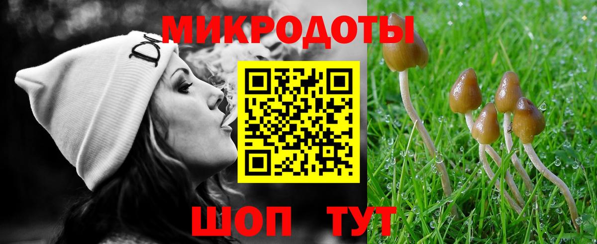 Галлюциногенные грибы Cubensis  Вход с VPN  Скопин 